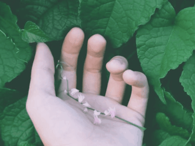 מהם רדיקלים חופשיים?