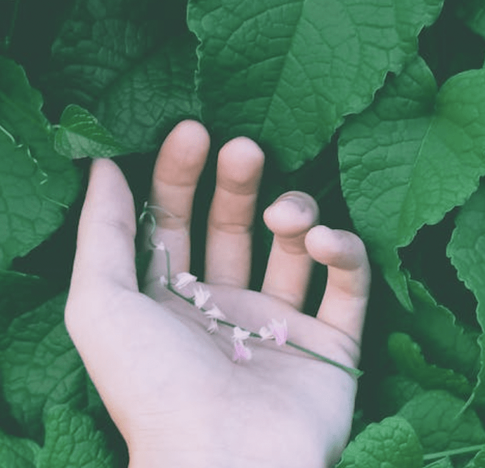 מהם רדיקלים חופשיים?