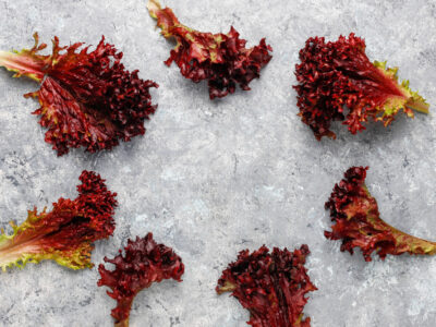 גידול אסטקסנטין פעיל