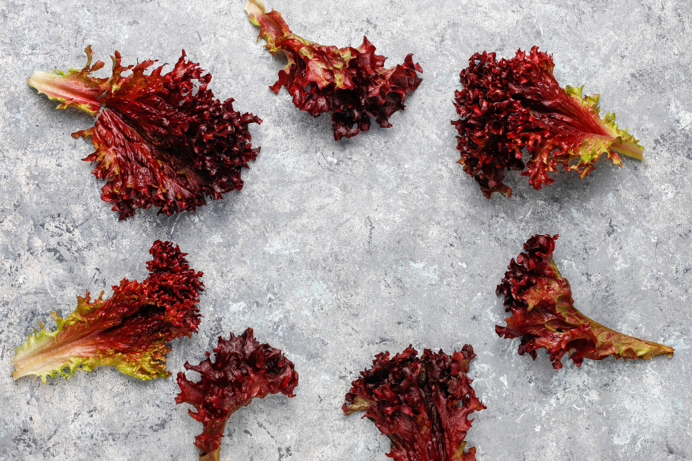 גידול אסטקסנטין פעיל